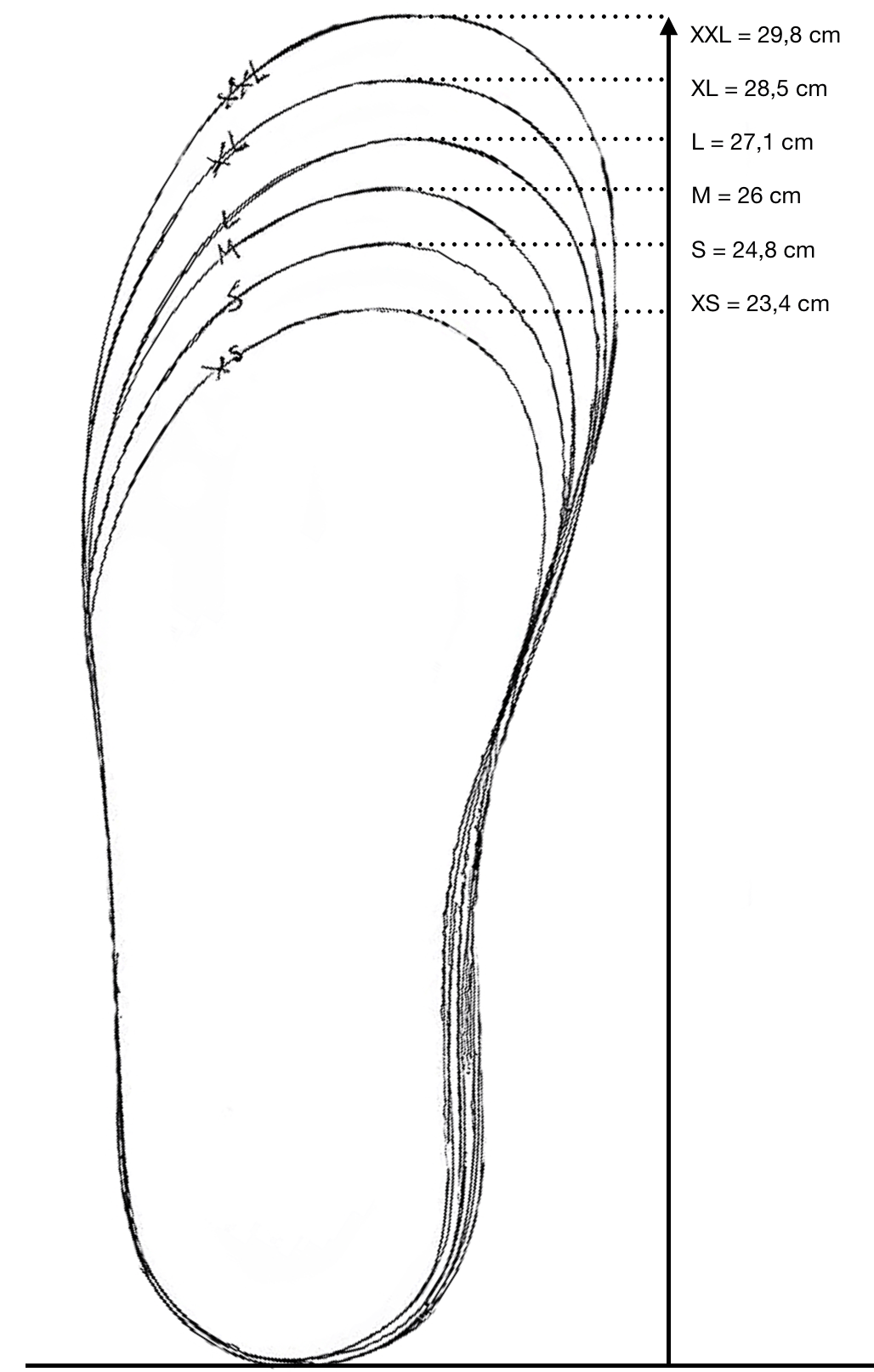 Red sizeguide